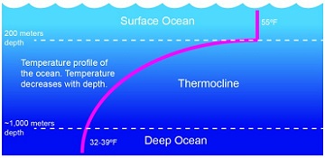 Transition Zone Science and the Sea